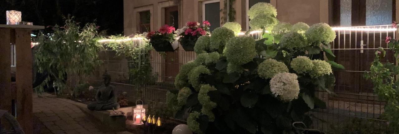 Appartement Im Hinterhoefchen Pirna Eksteriør billede